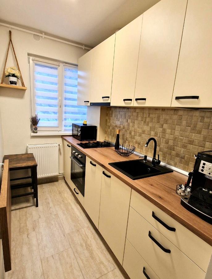 Apartamentul Gaviota Temeşvar Dış mekan fotoğraf
