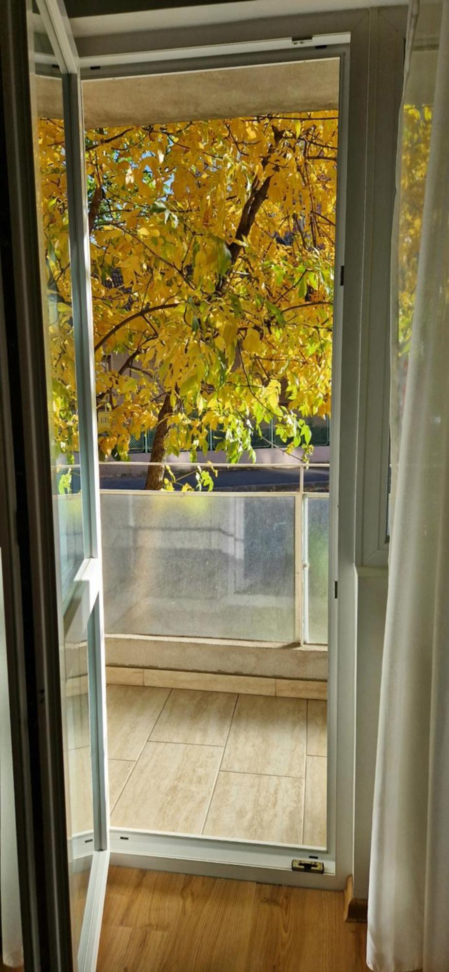 Apartamentul Gaviota Temeşvar Dış mekan fotoğraf